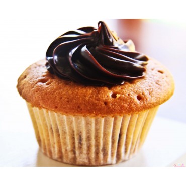 Choc-Chip Cupcake(6 Pack)