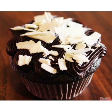 Mocha Cupcake(6 Pack)