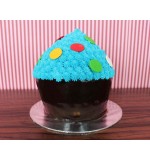 Giant Cupcake - 1.5kg